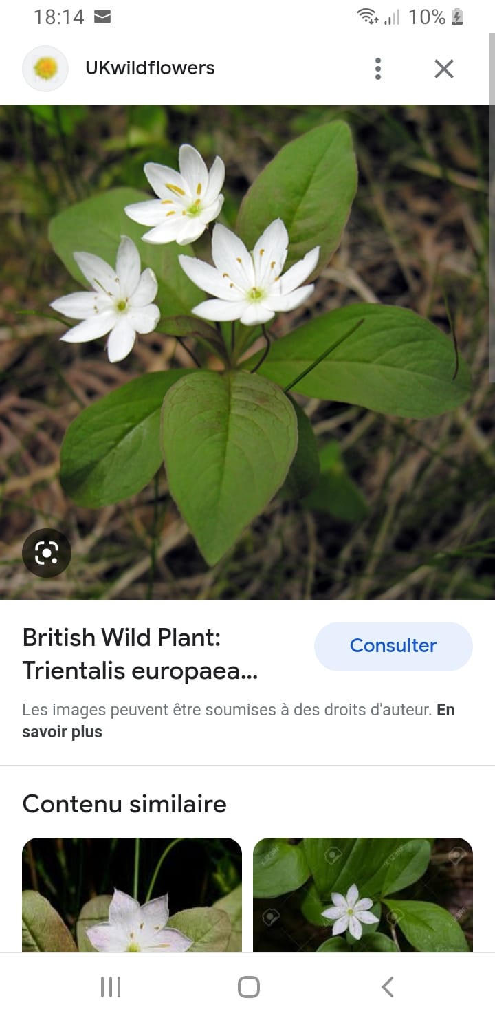 Wild legend adventure | Theux