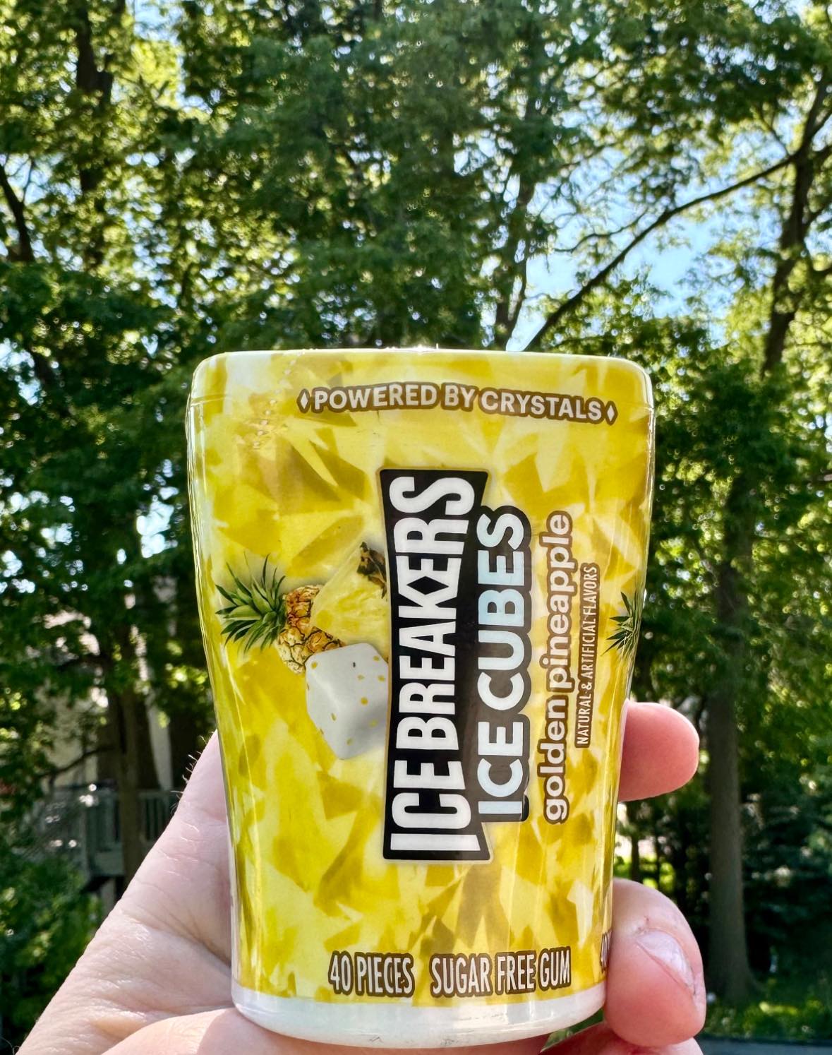 As Ice Breakers Cubes fanatics I am beyond excited to try the