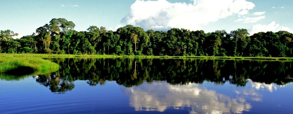 Peru Amazon Jungle Tours
