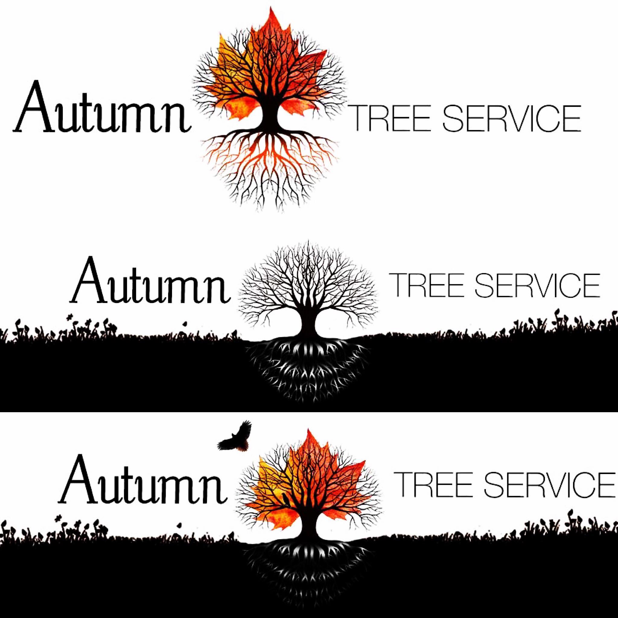 Autumn Tree Service | Emerson NJ