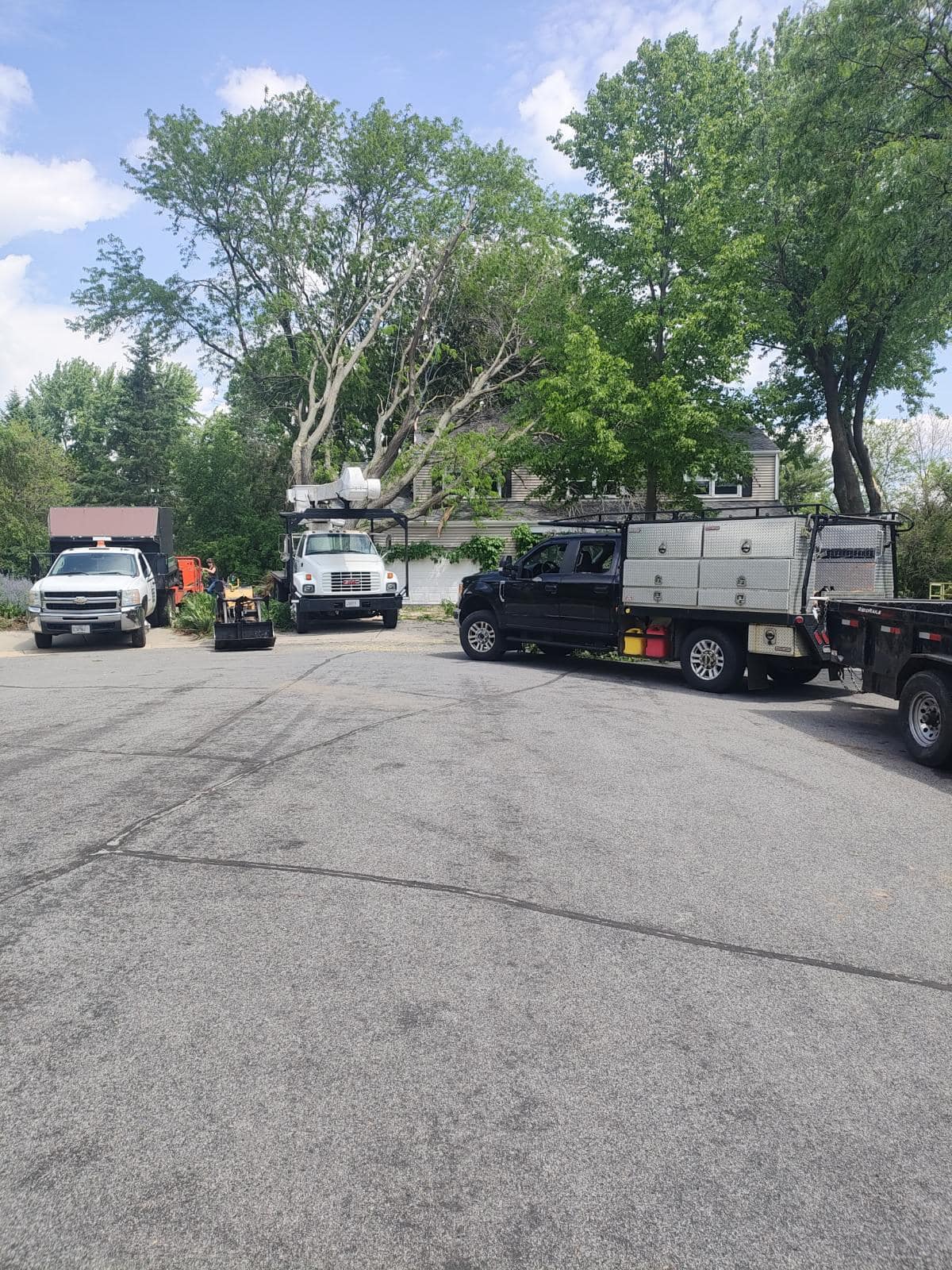 Madden's Tree Service