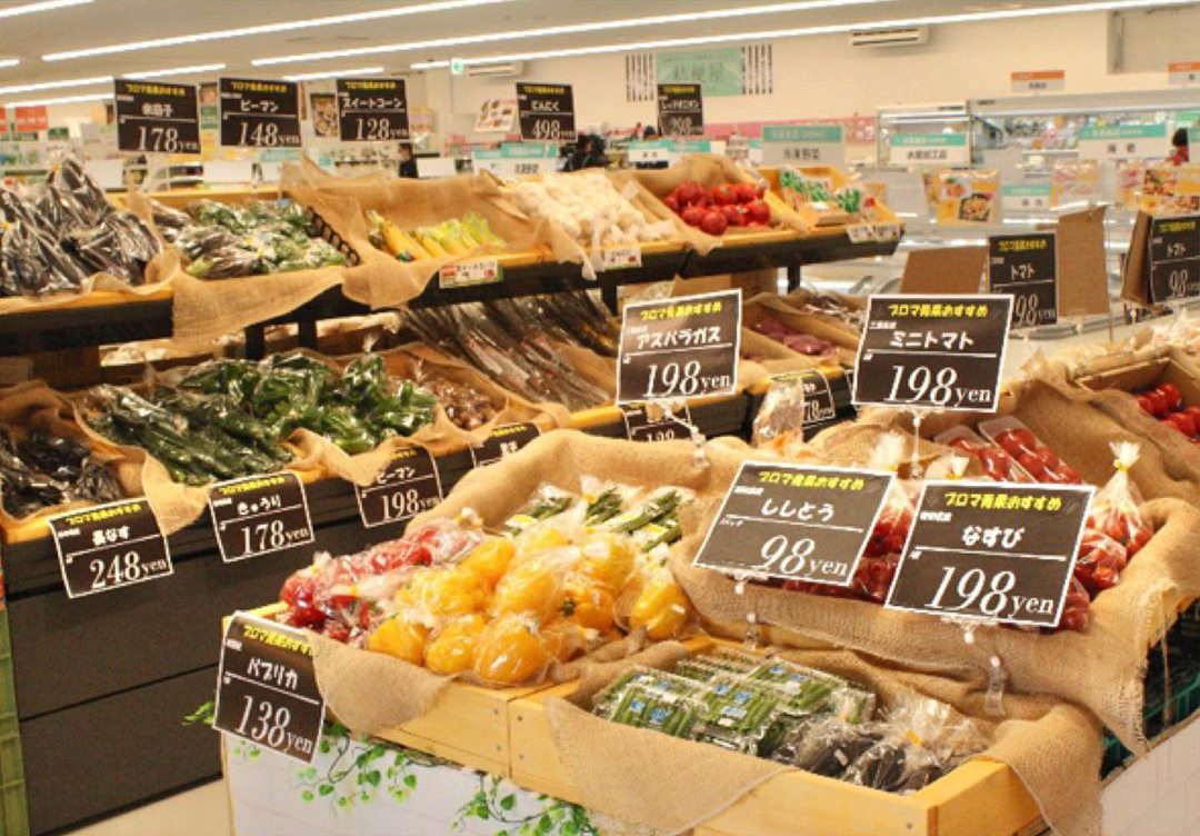 プロ マーケット 津 店