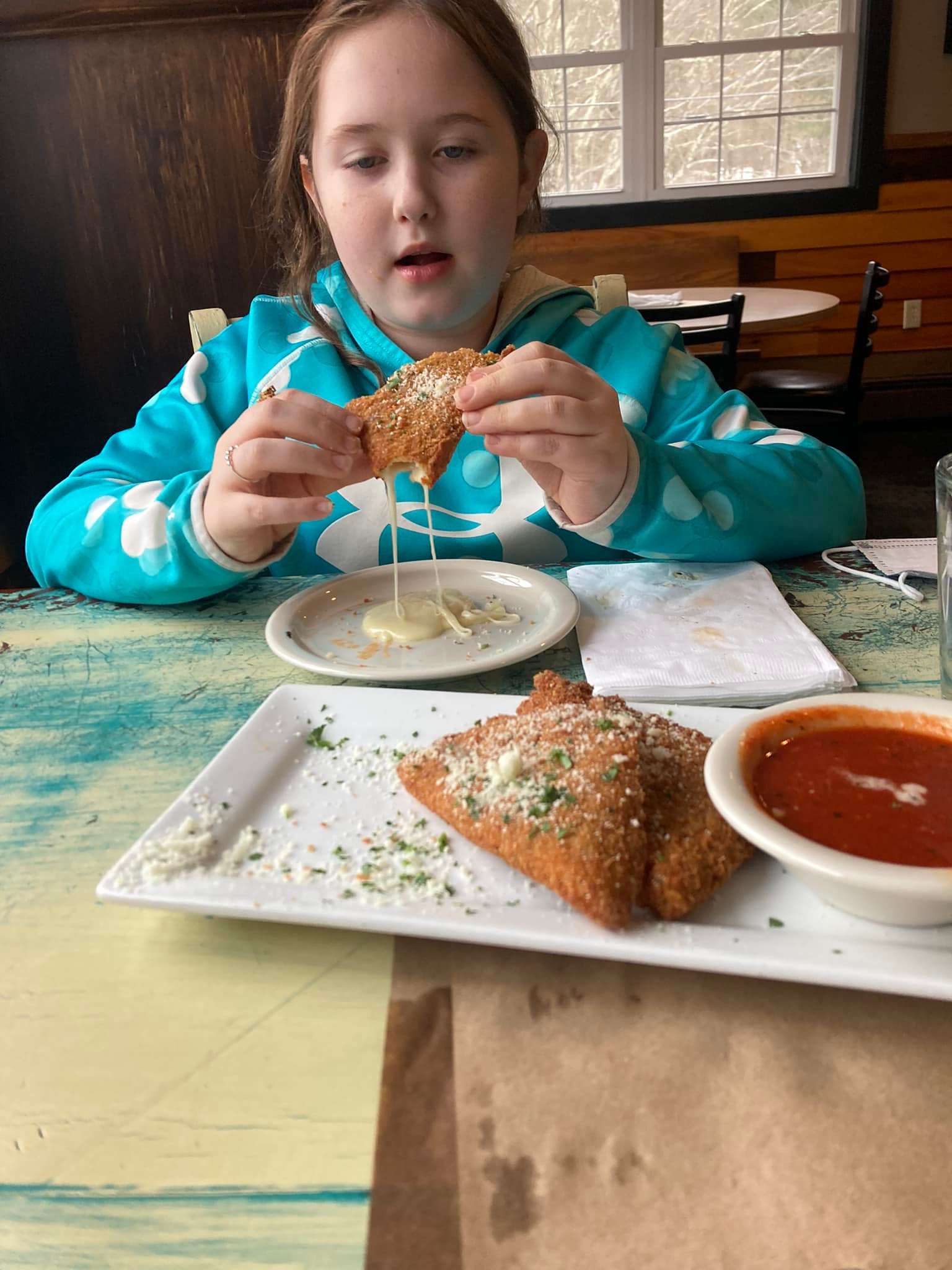 Rip VanWinkle Brewery review: mozz wedges, fettuccine alfredo, and 
