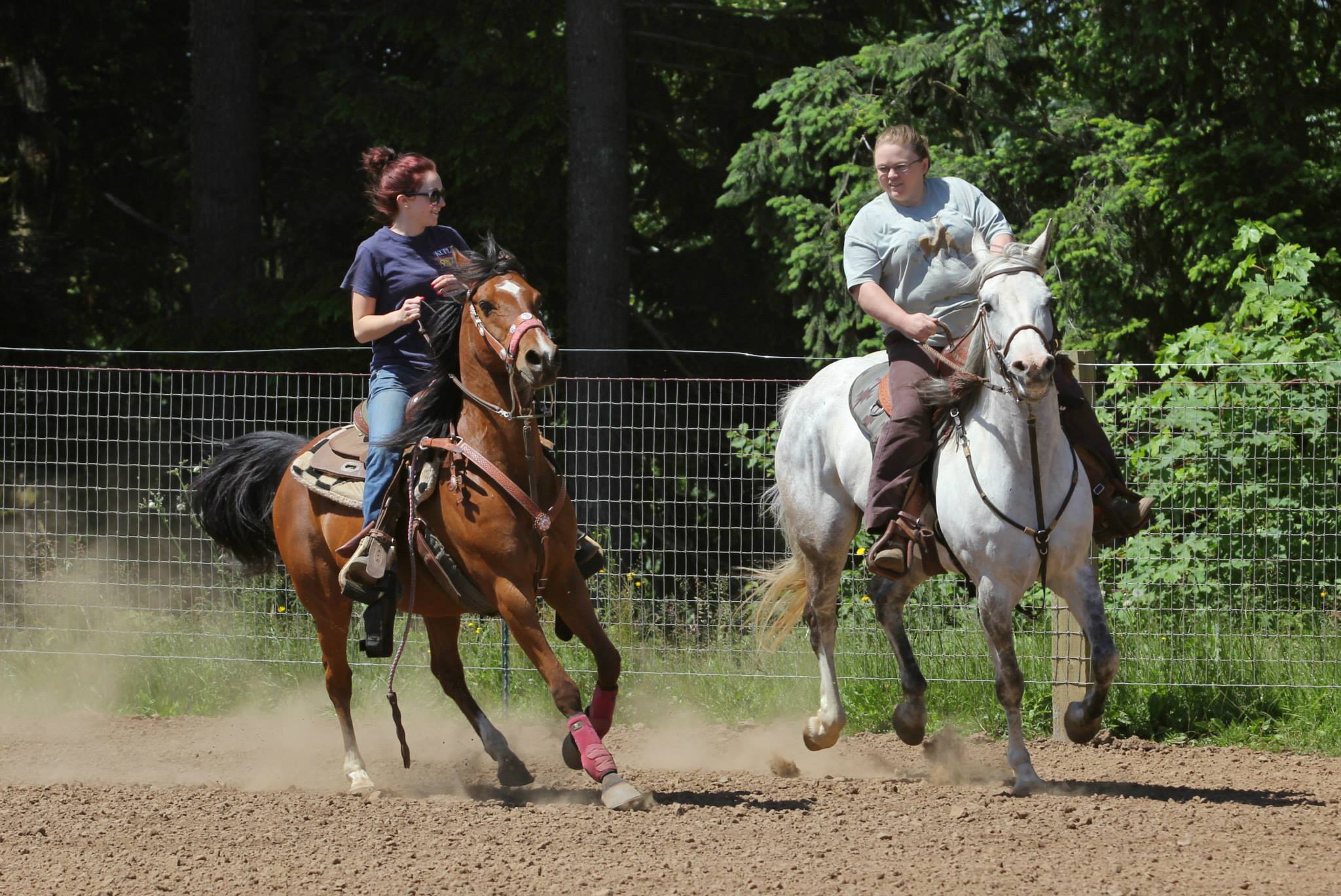 diamond-d-training-stable-eagle-creek-or
