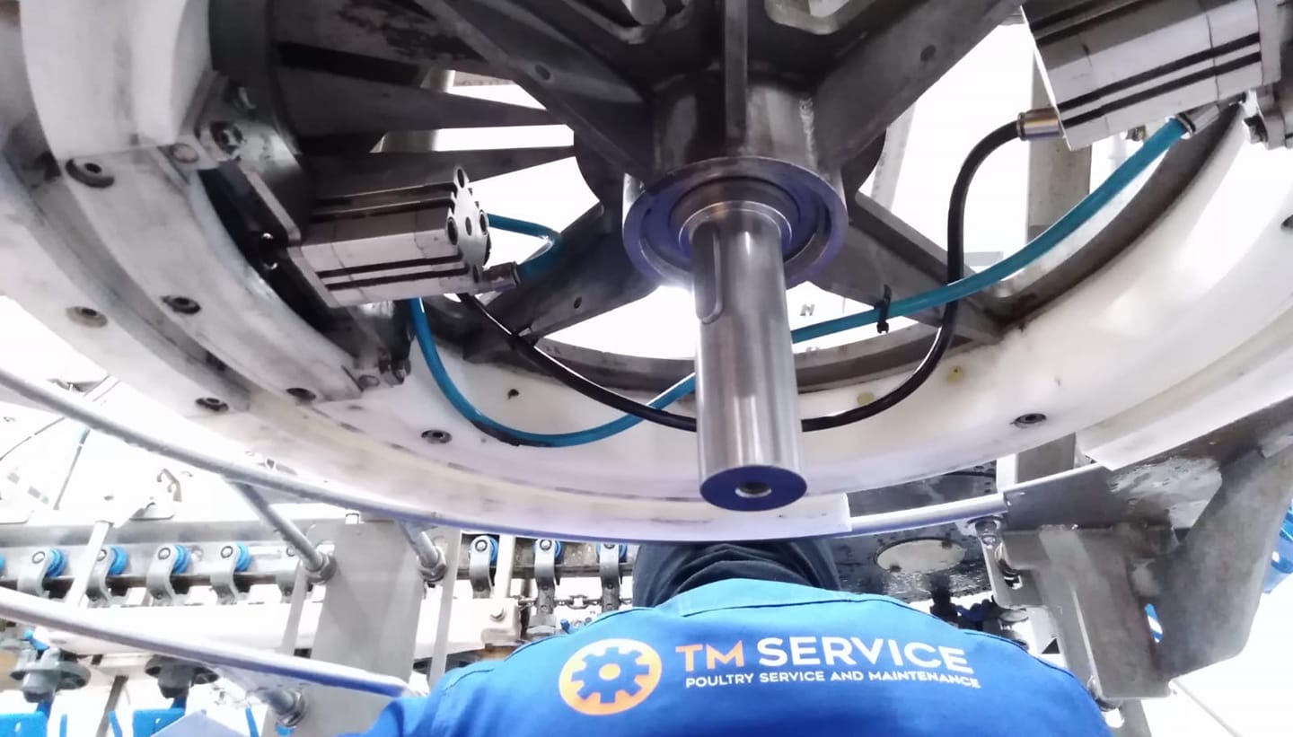 TM-service | Ozimek