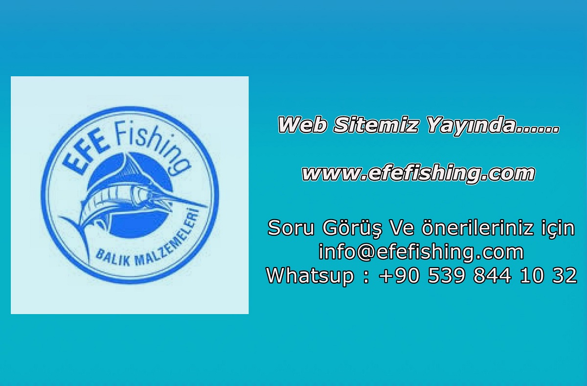 Efe Fishing Shimano | Çanakkale