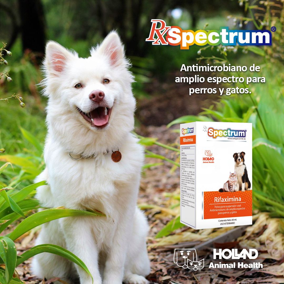 RX SPECTRUM® RIFAXIMINA... - Holland Animal Health | Facebook