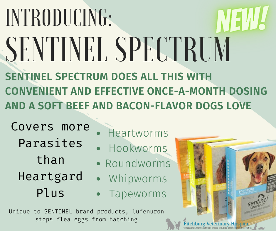 We are now carrying... - Fitchburg Veterinary Hospital