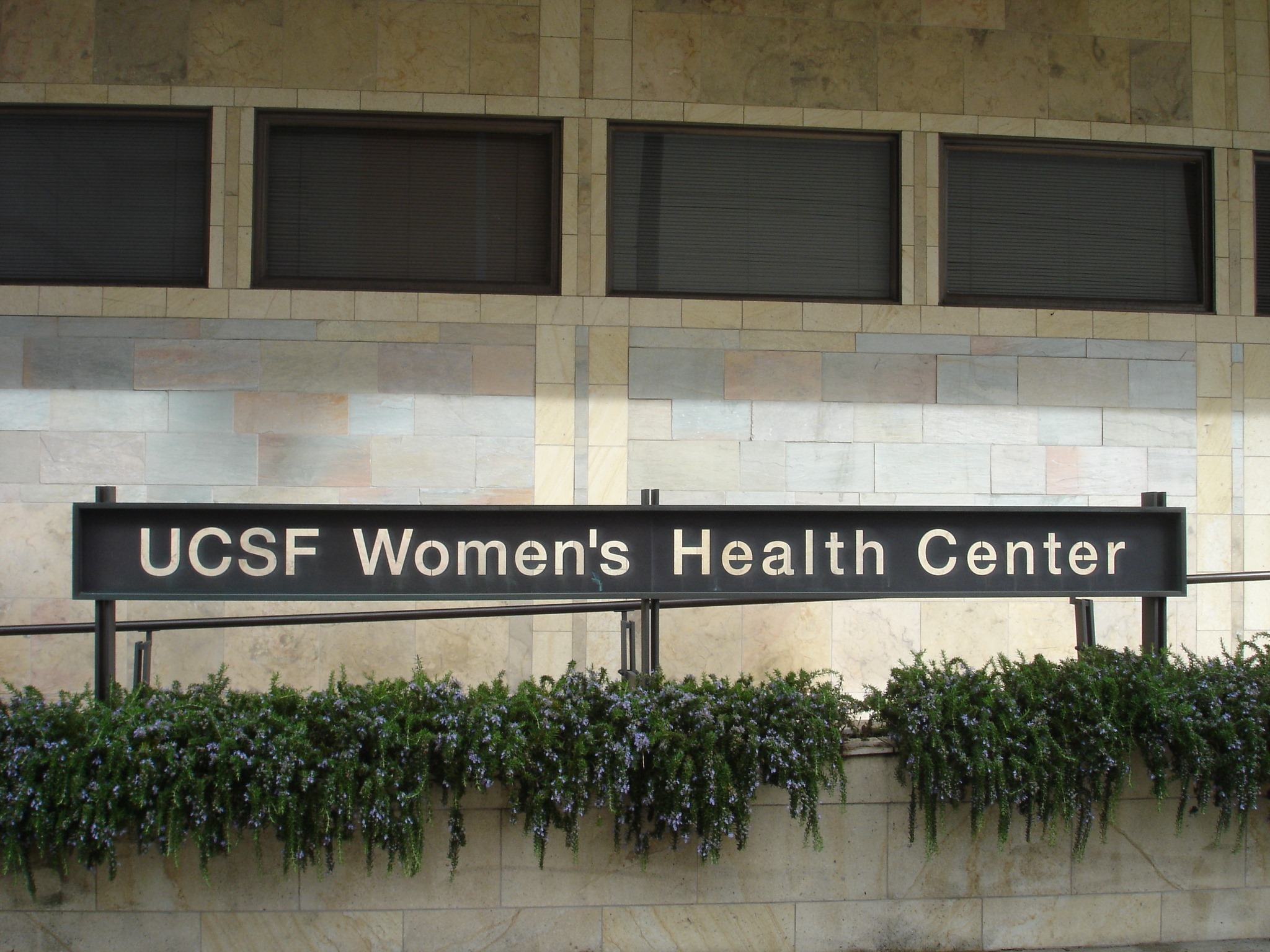 Dr. Maria Nelson is the chief of our... - USC Breast Center | Facebook