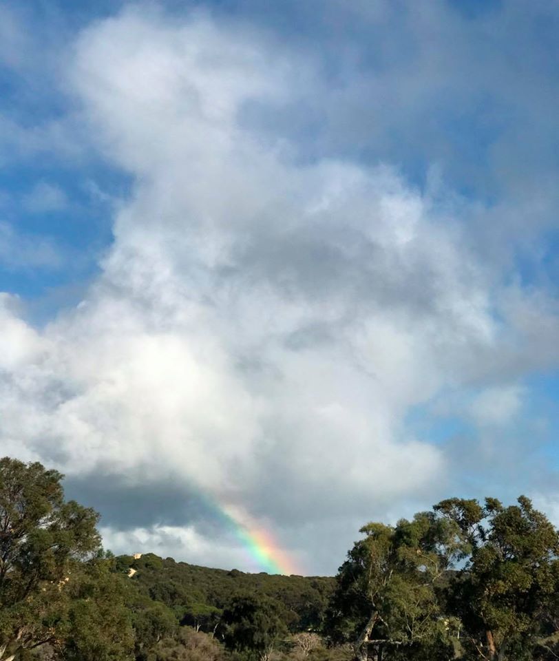 Friends of Manning Park Ridge | Hamilton Hill WA