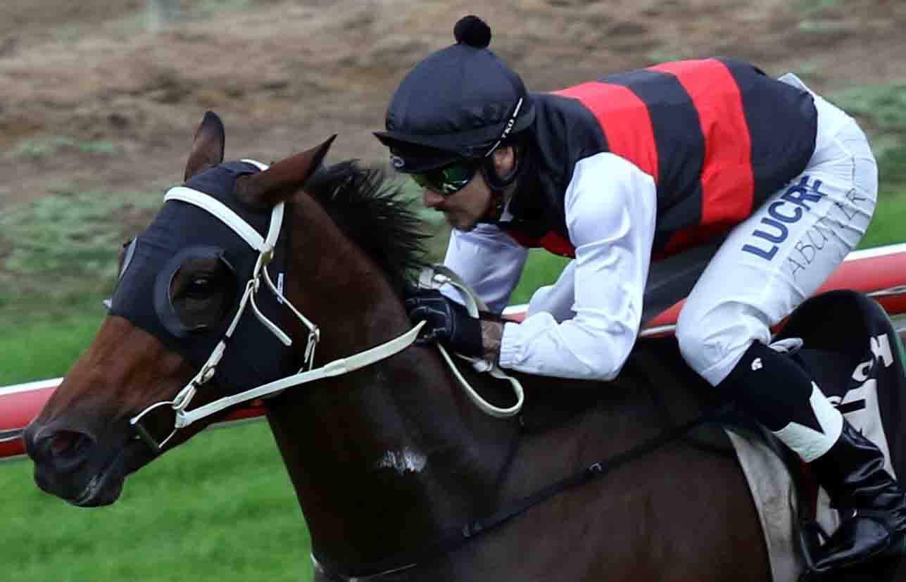 Jamie Mcconachy Racing added a... - Jamie Mcconachy Racing