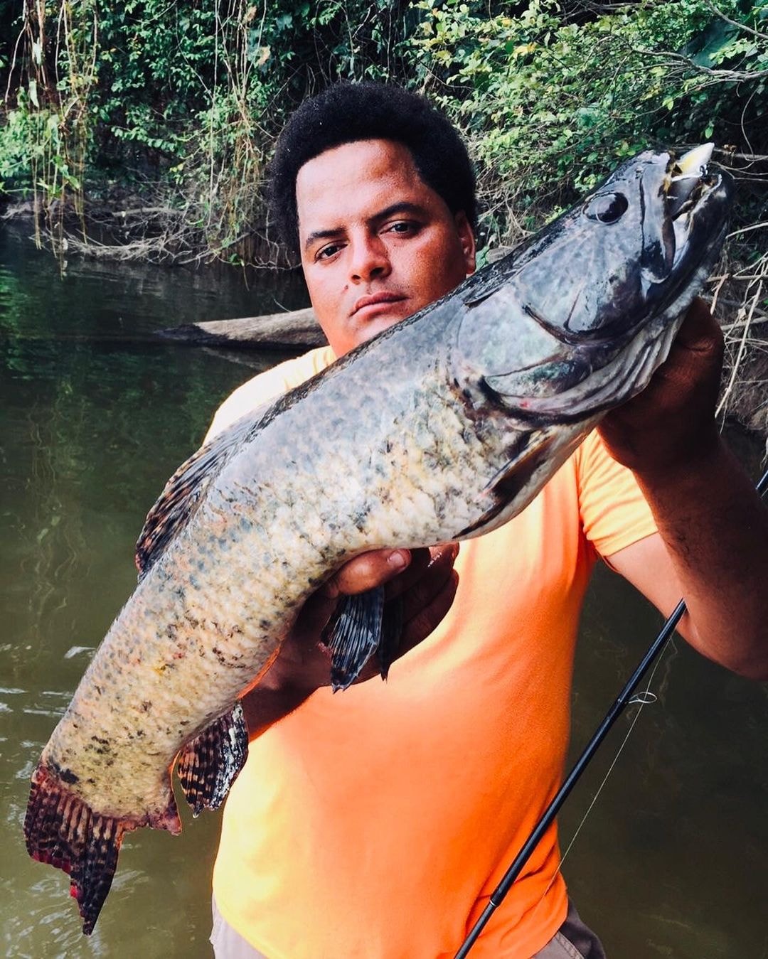 Visit Guyana - Meet the Aimara aka the wolf fish.... | Facebook
