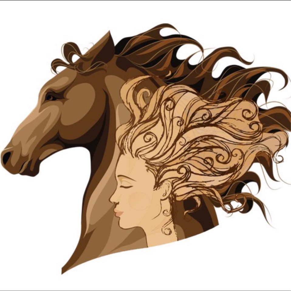 Spirit's Promise Equine Rescue Program | Facebook