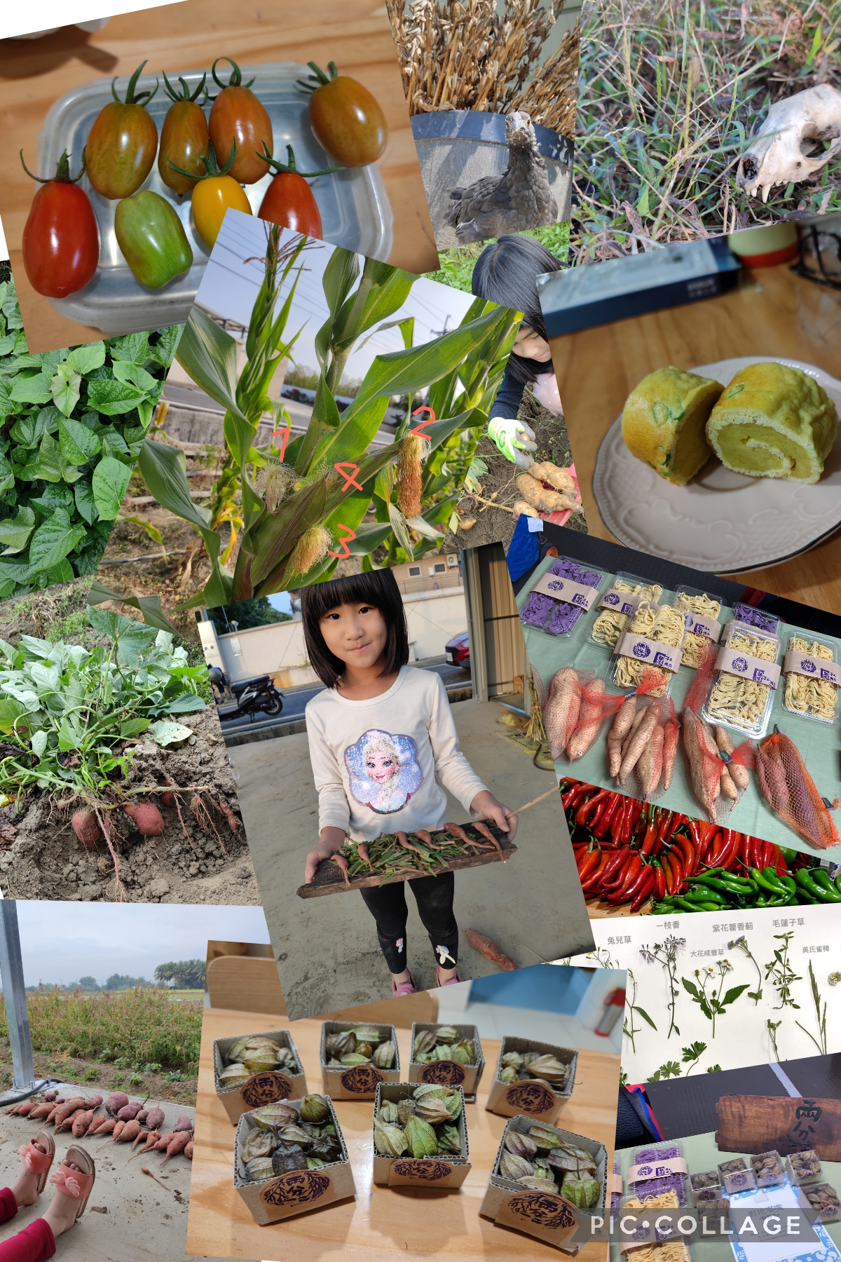 木子創意室內裝修有限公司 - 木子創意室內裝修有限公司 added a new photo.