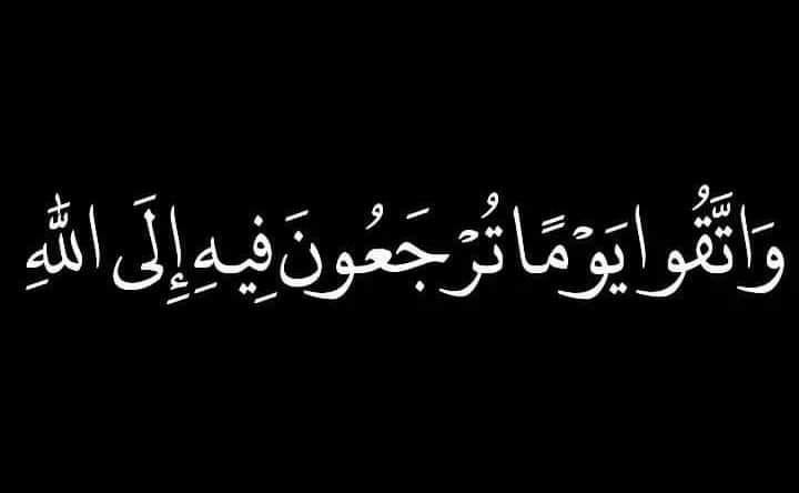 خلق الله البديع - طائر نقار الخشب جهزه رب العزة سبحانه وتعالى بجسم يشبه ...