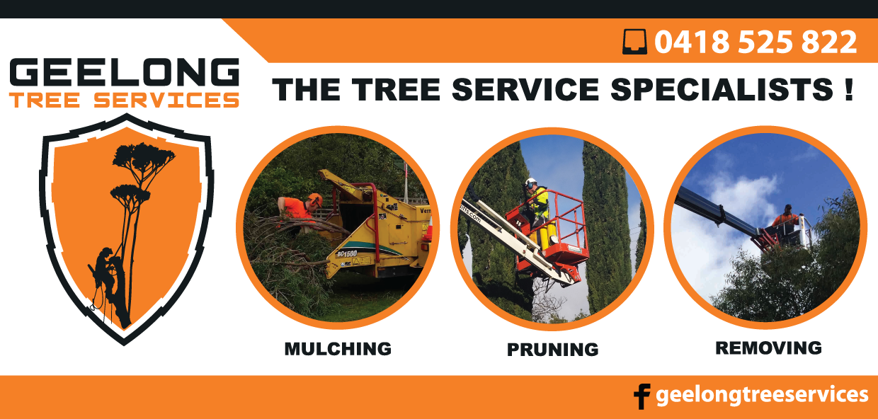 Geelong Tree Services | Geelong VIC