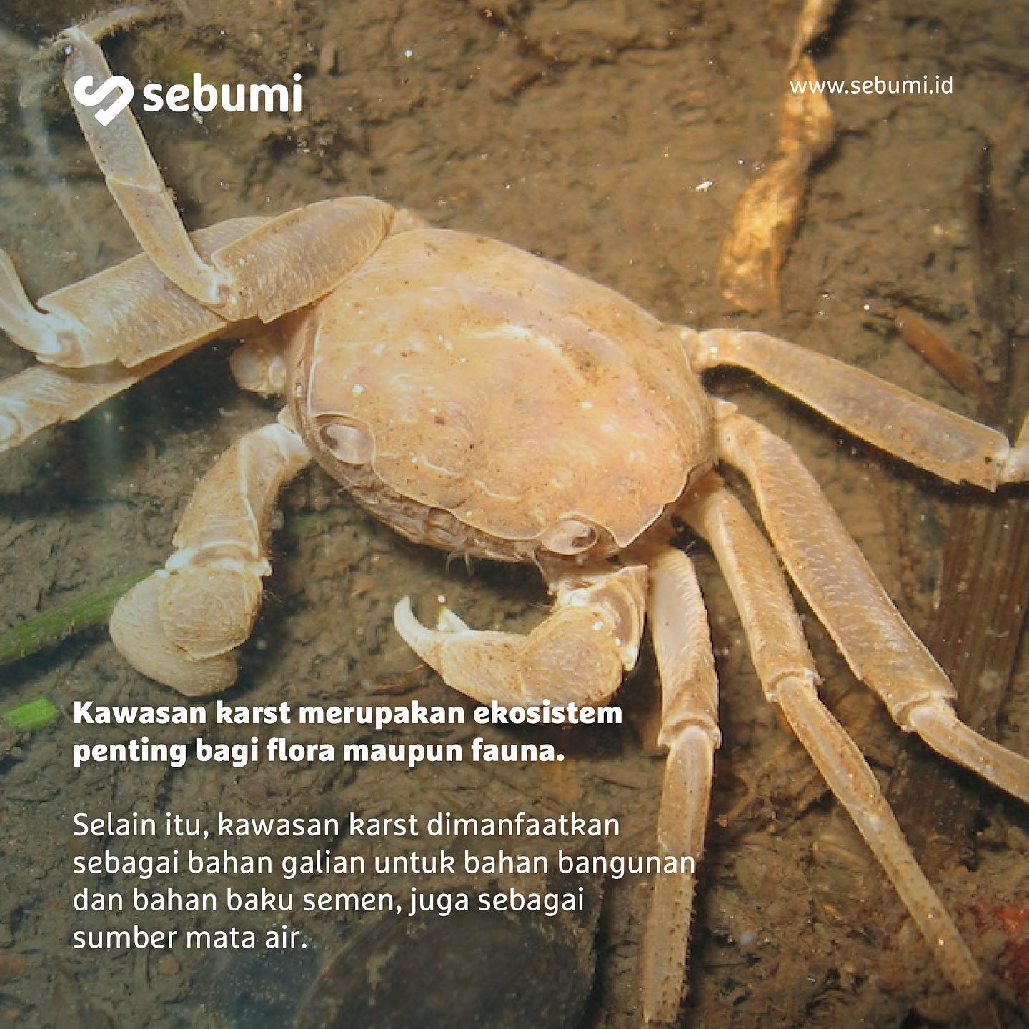 Sebumi - Proses geologi yang berlangsung sejak ratusan...