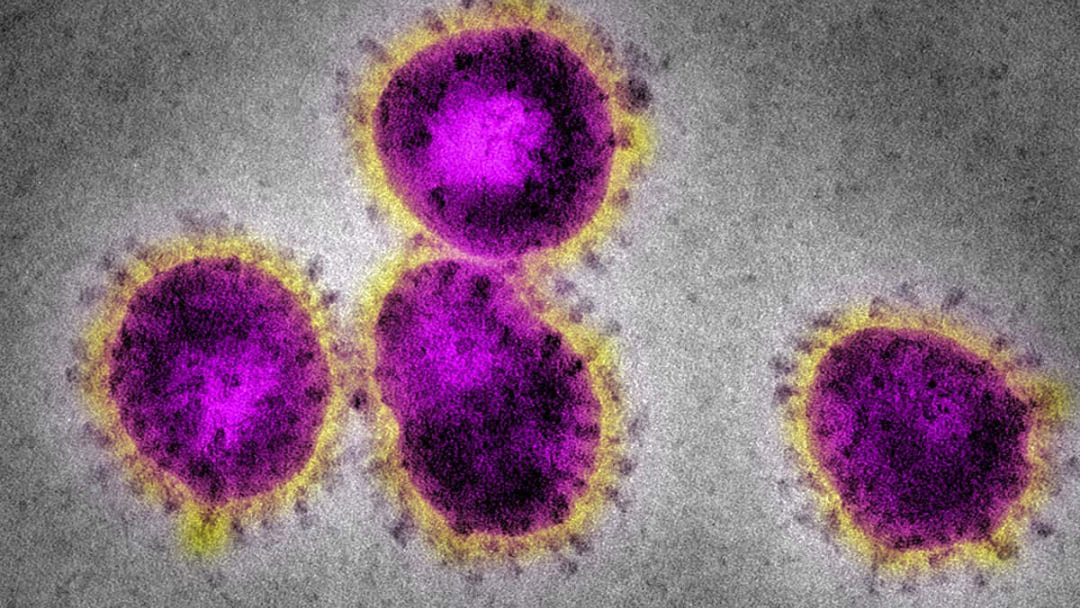 Virus Update
