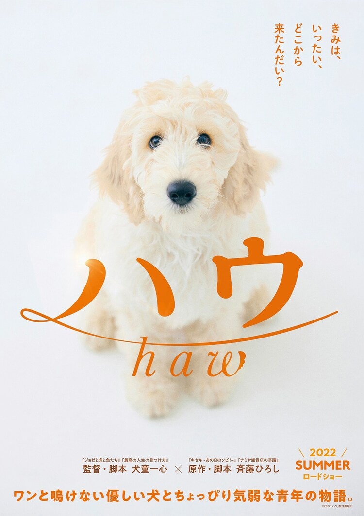 Haw #ハウ หนังใหม่ของผู้กำกับ... - ผู้ชายคนนั้นจากหนังเรื่องนี้ | Facebook