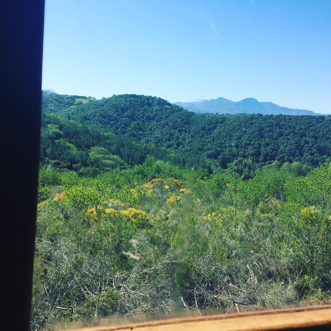View from the bathroom windows of the... - Masonwabe Retreats | Facebook
