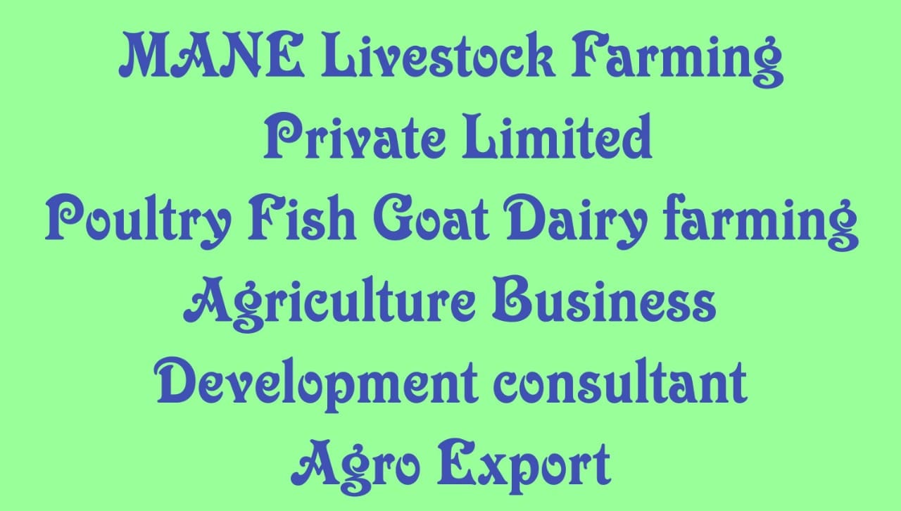 Mane livestock farm & exporter