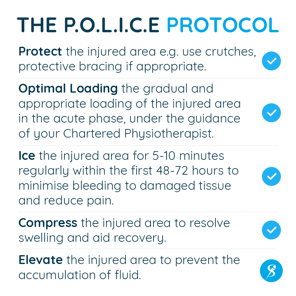 Irish - The PRICE Protocol has moved onto POLICE - the concept of just ...