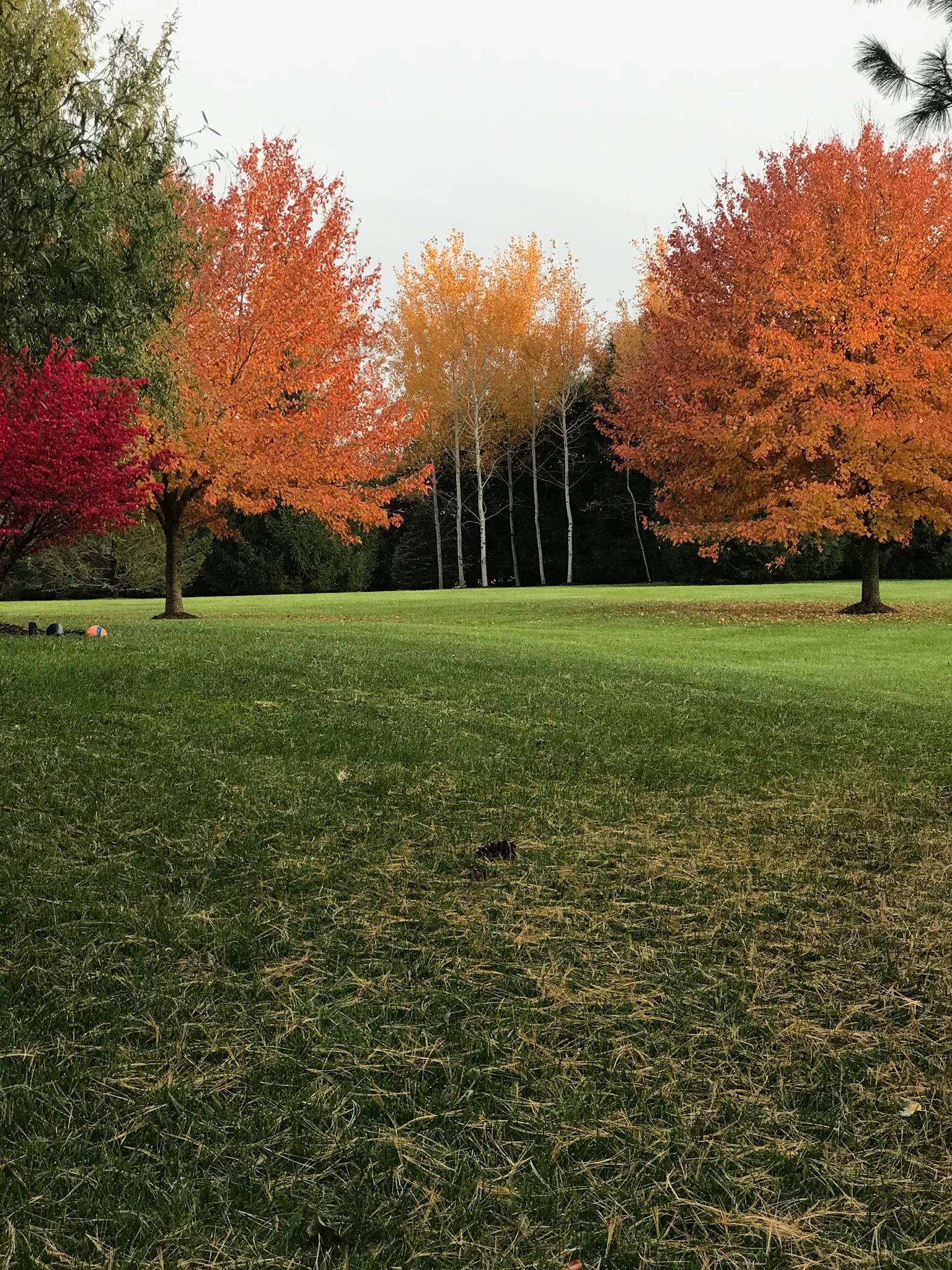 Quality Lawn Care Services | Lincoln NE