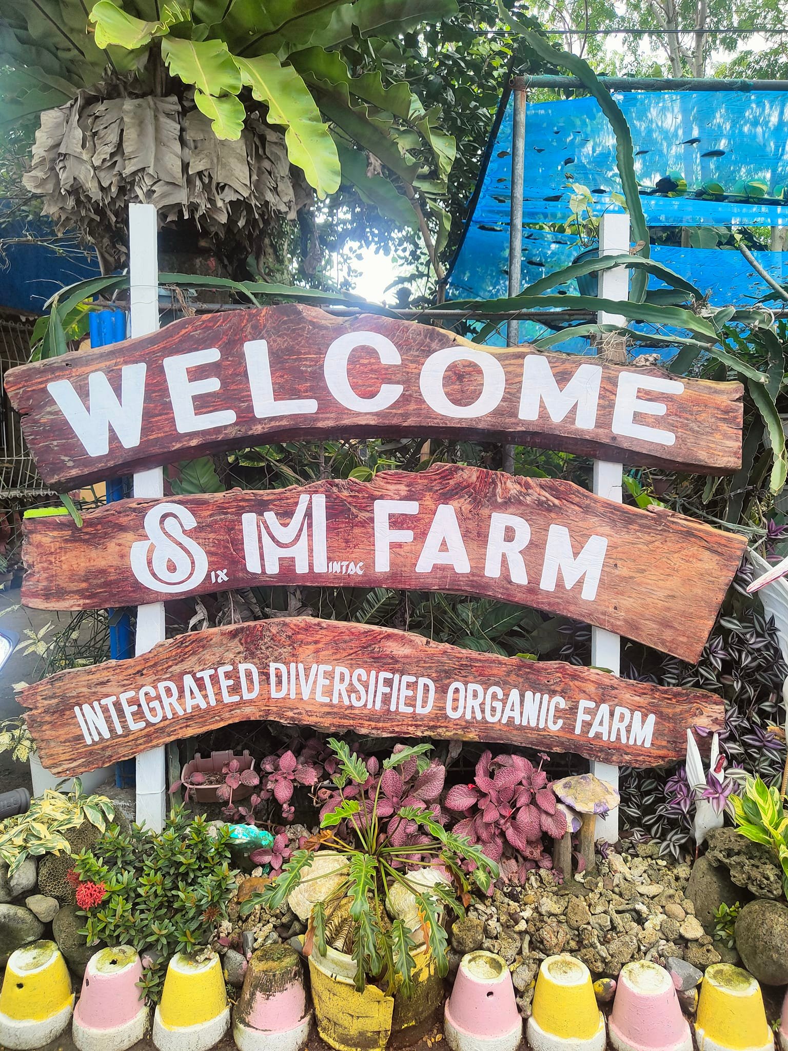 Six Mintac Integrated Diversified Organic Farm | Maria Aurora