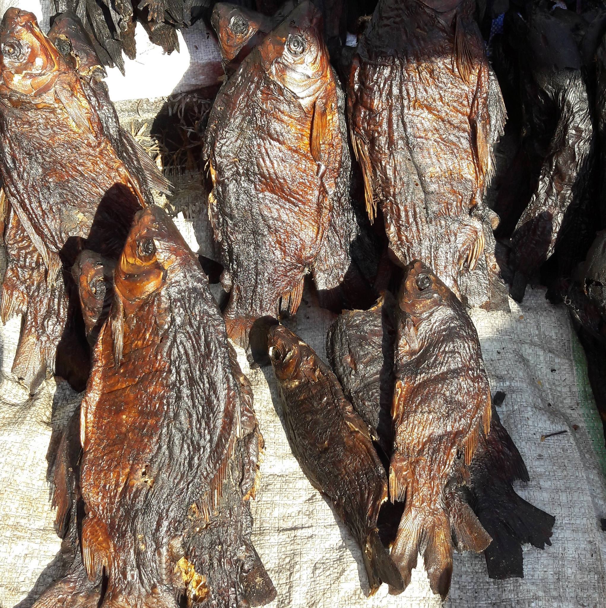Poissons fumés à Kinshasa_Mbisi ya ko kawuka