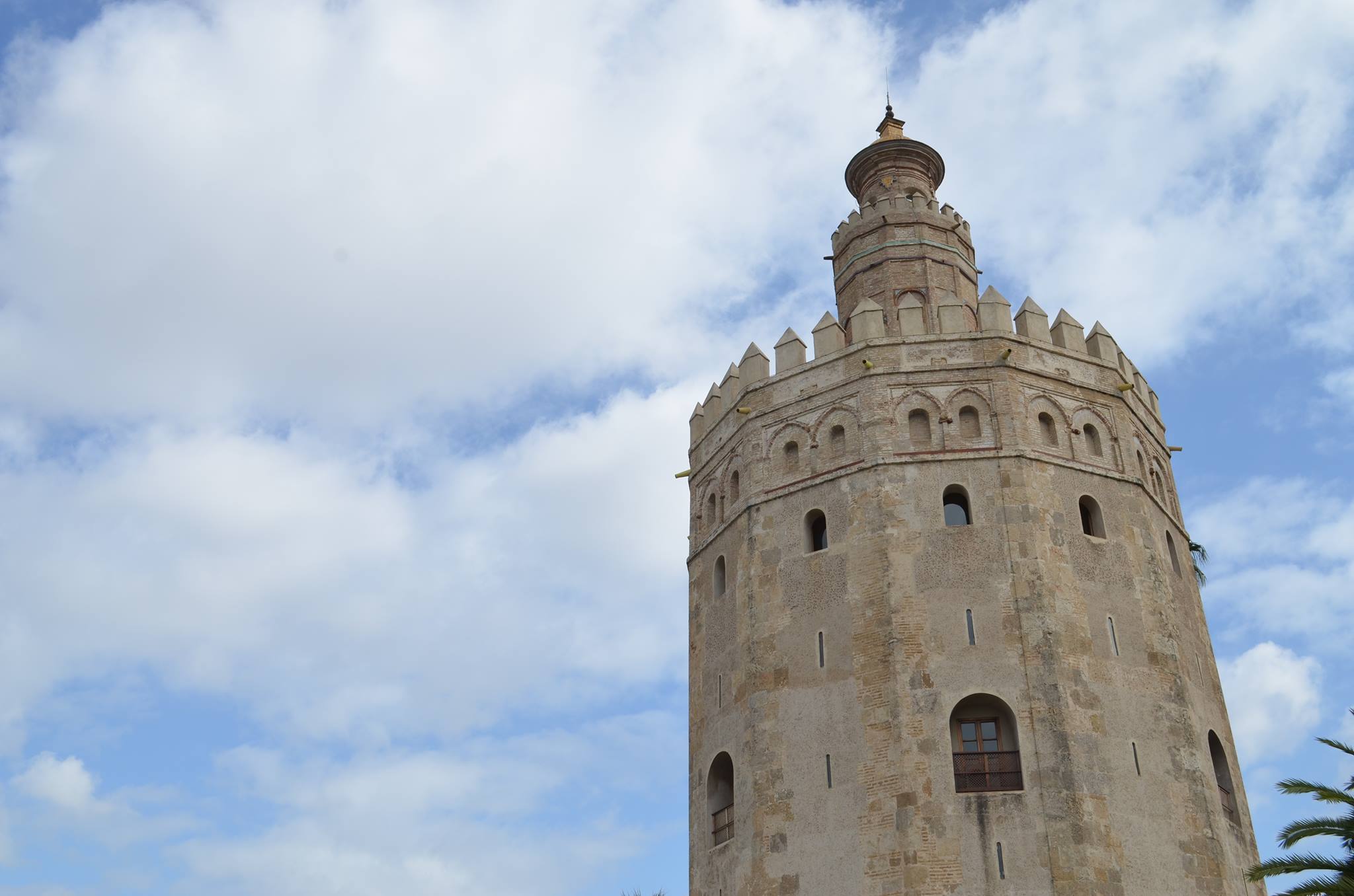 Semester In Spain Alumni | Palos Heights IL