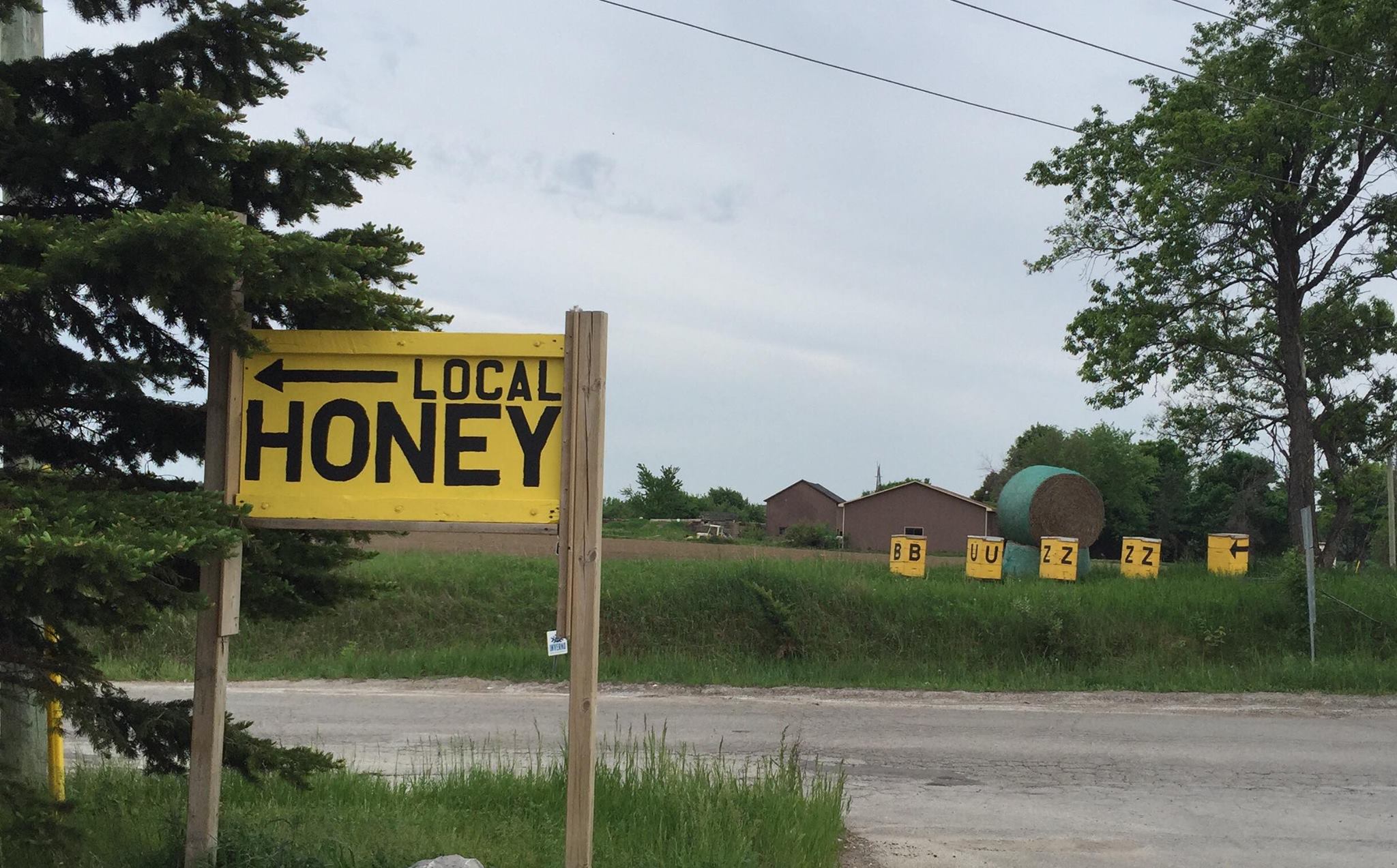 Pioneer Brand Honey | Nobleton ON