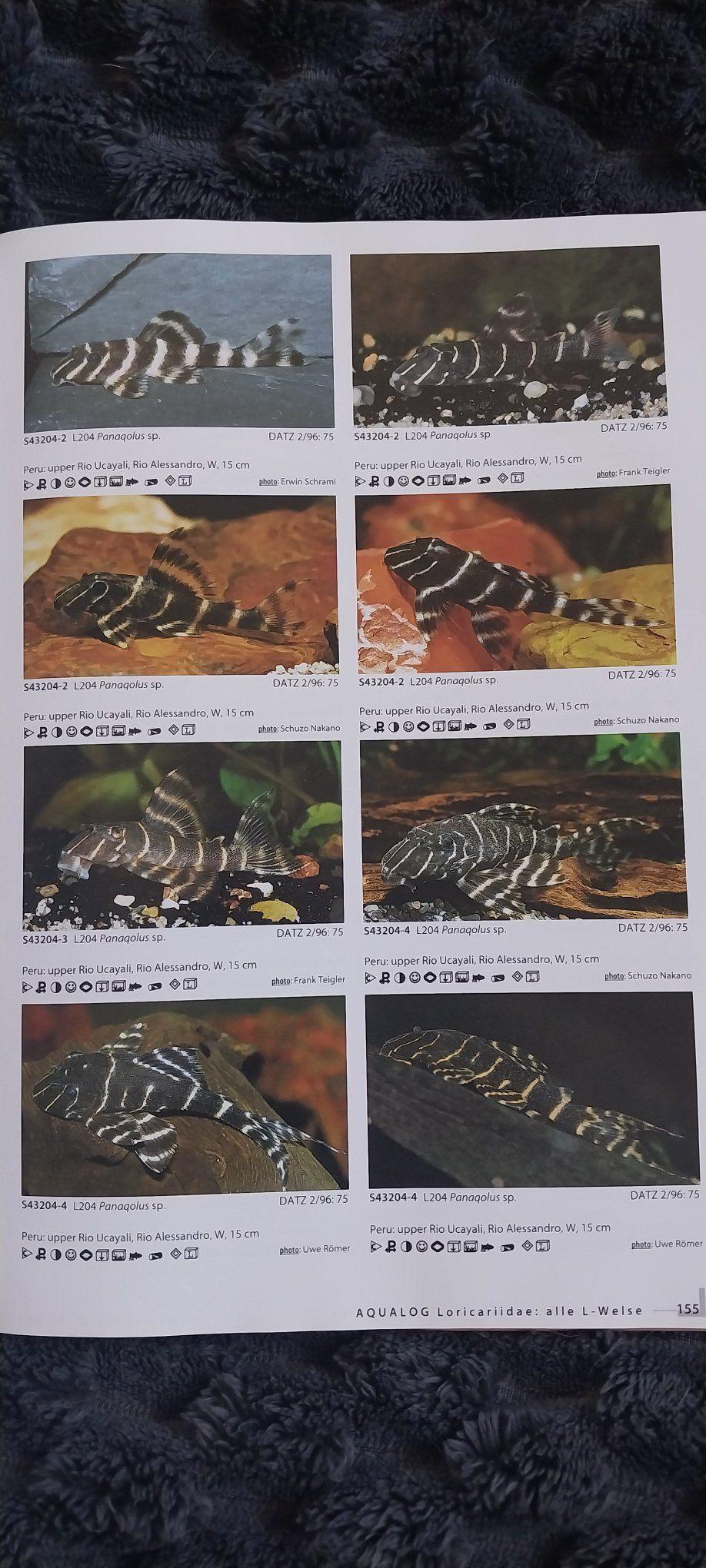 L number catfish book. Bit of yellow just in front cover pages