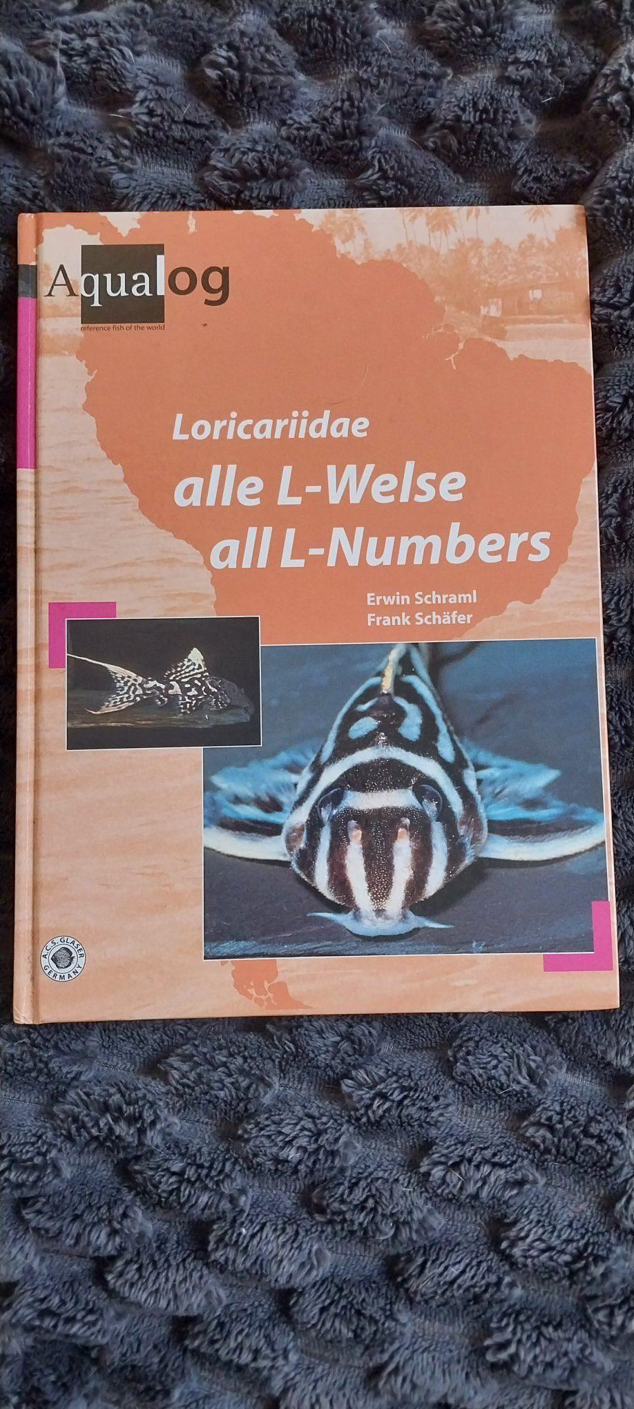 趣味 Aqualog Loricariidae all L-Welse ?media_id=4735322350034526
