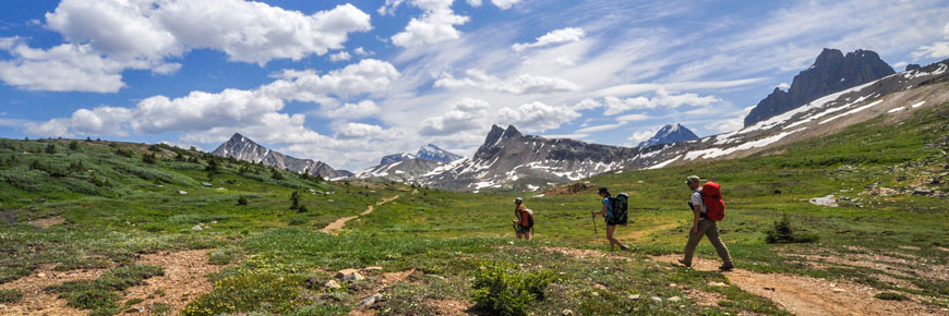 BackCountry 20 Off Coupon: Promo Code Reddit 2021