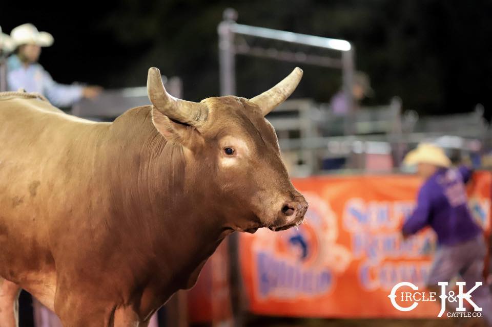 Rockin K Rodeo Productions - WOW WHAT A NIGHT!! I can't say how much it ...