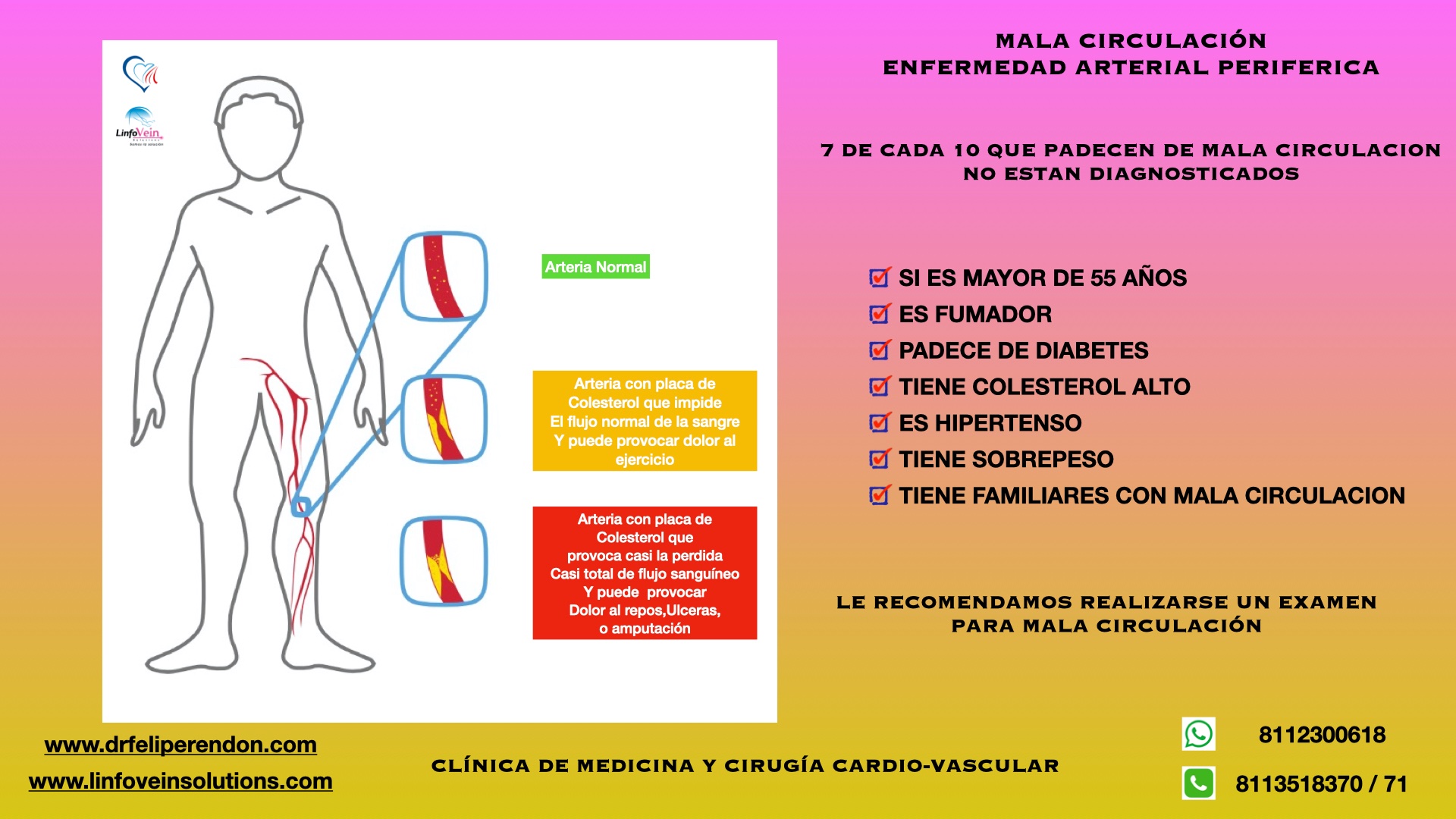 Dr. Felipe G. Rendón Elías | Guadalupe