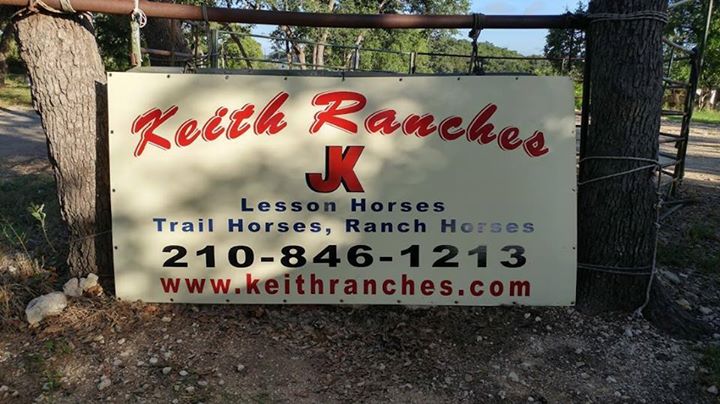 Keith Ranches Horses For Sale | Devine TX