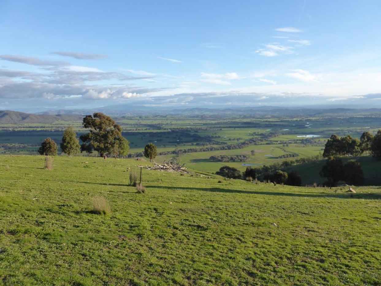 Swamps, Rivers & Ranges
