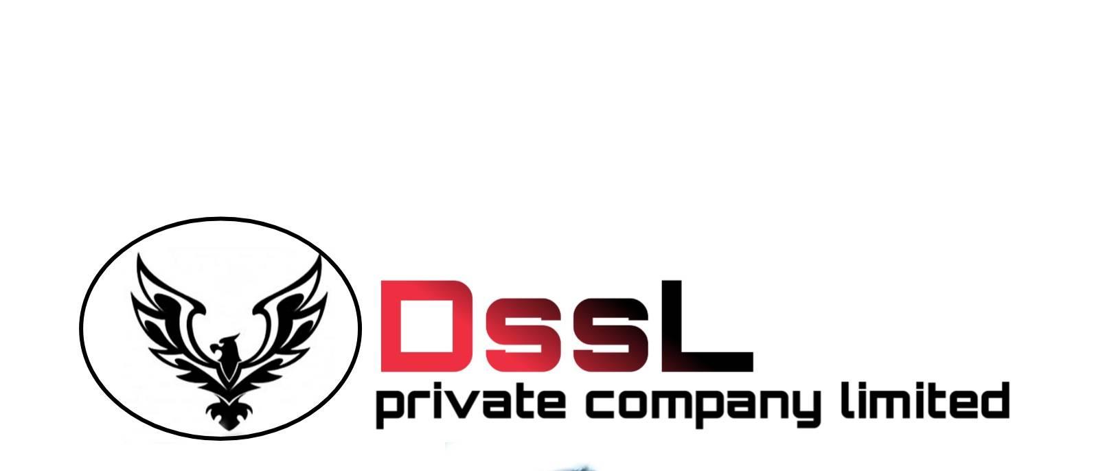 DSSL pvt com ltd