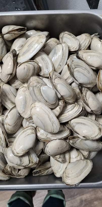 Fish From Trish - Thinking about clam chowder for dinner?...