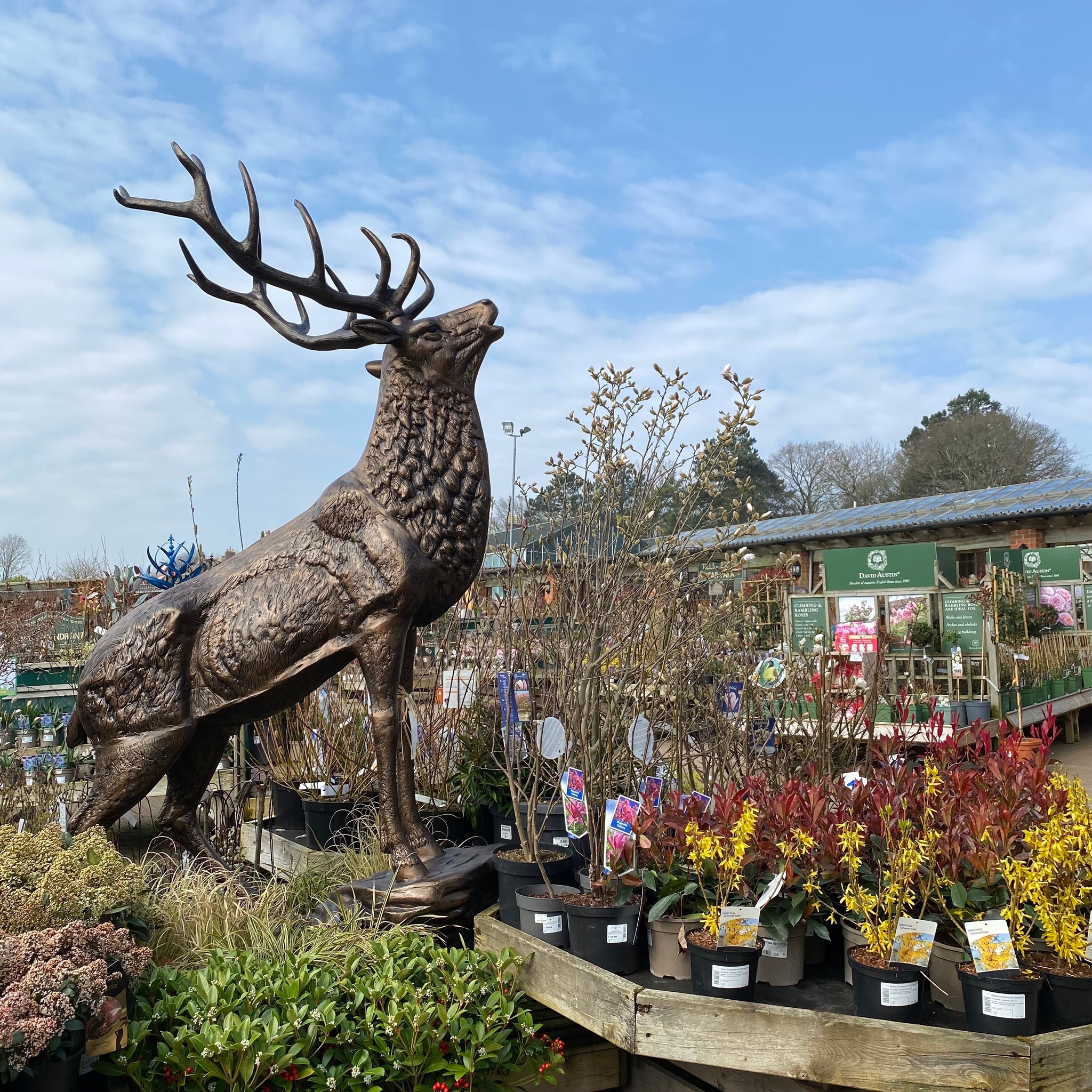 Gates Garden Centre - Spring has finally arrived. We are excited about ...