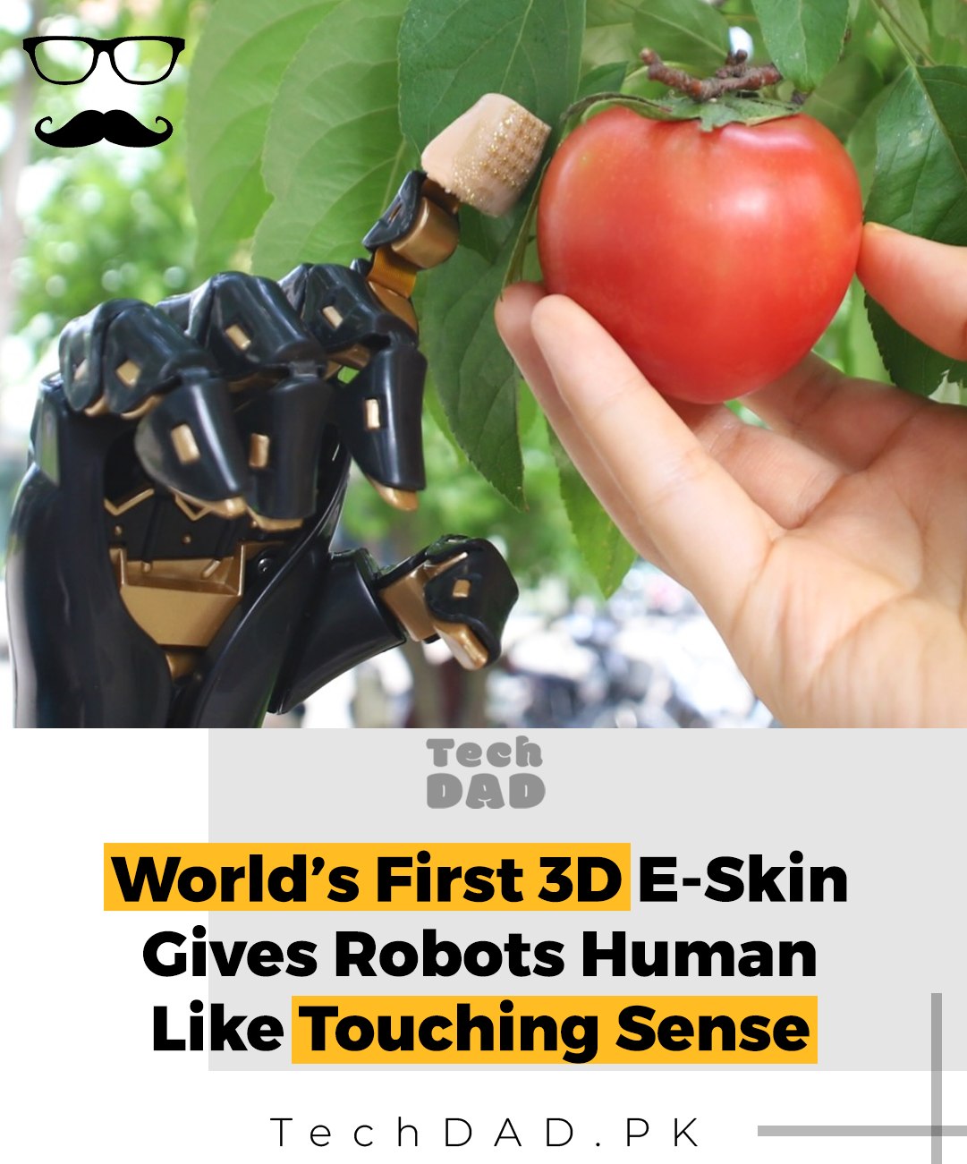 Business Bytes Pakistan - Chinese scientists have developed a ...