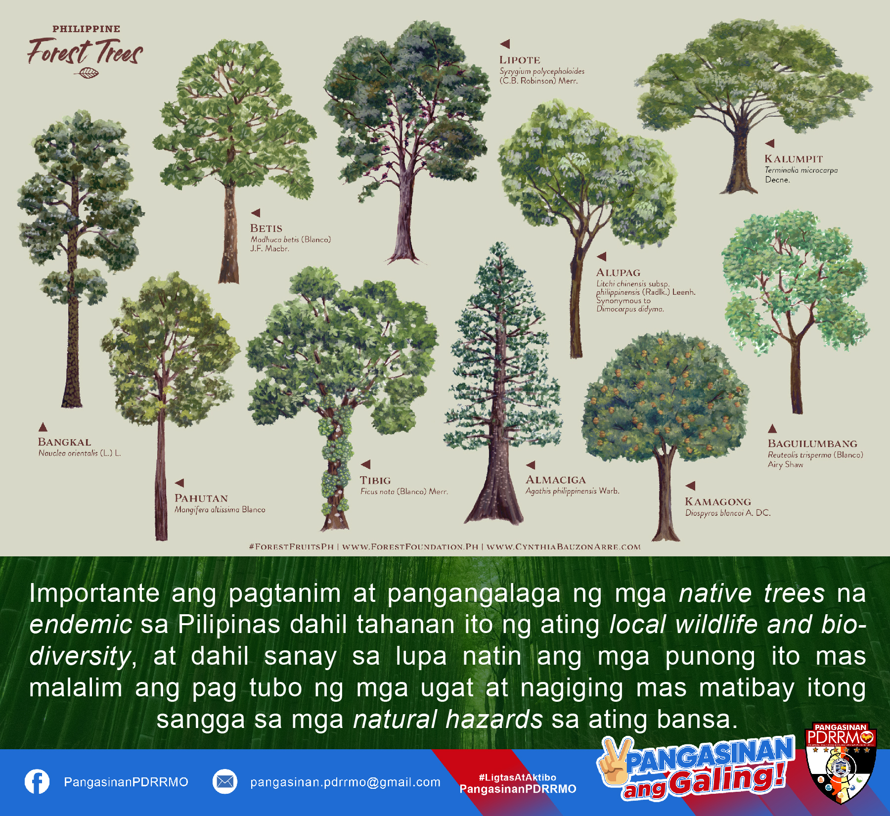 Pangasinan - Importante ang pagtanim at pangangalaga ng mga # ...