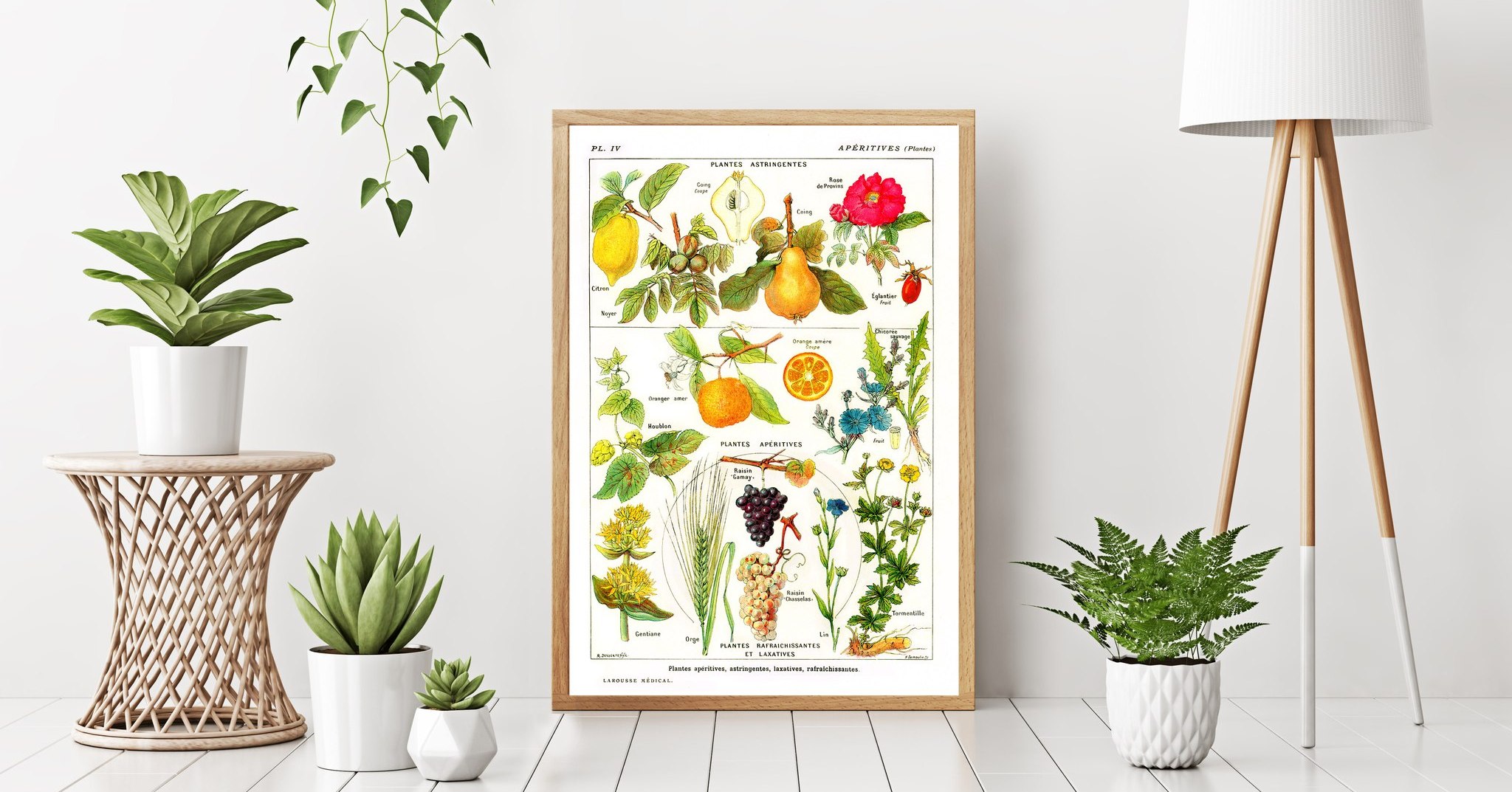 🍐 Did you know that the way you... - Vintage Posteria
