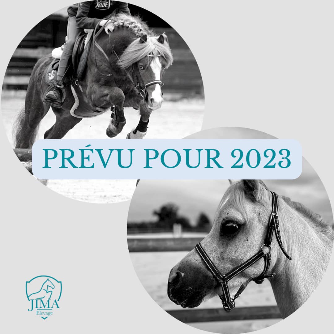 Élevage de JIMA - L’élevage de JIMA vous souhaite une très... | Facebook