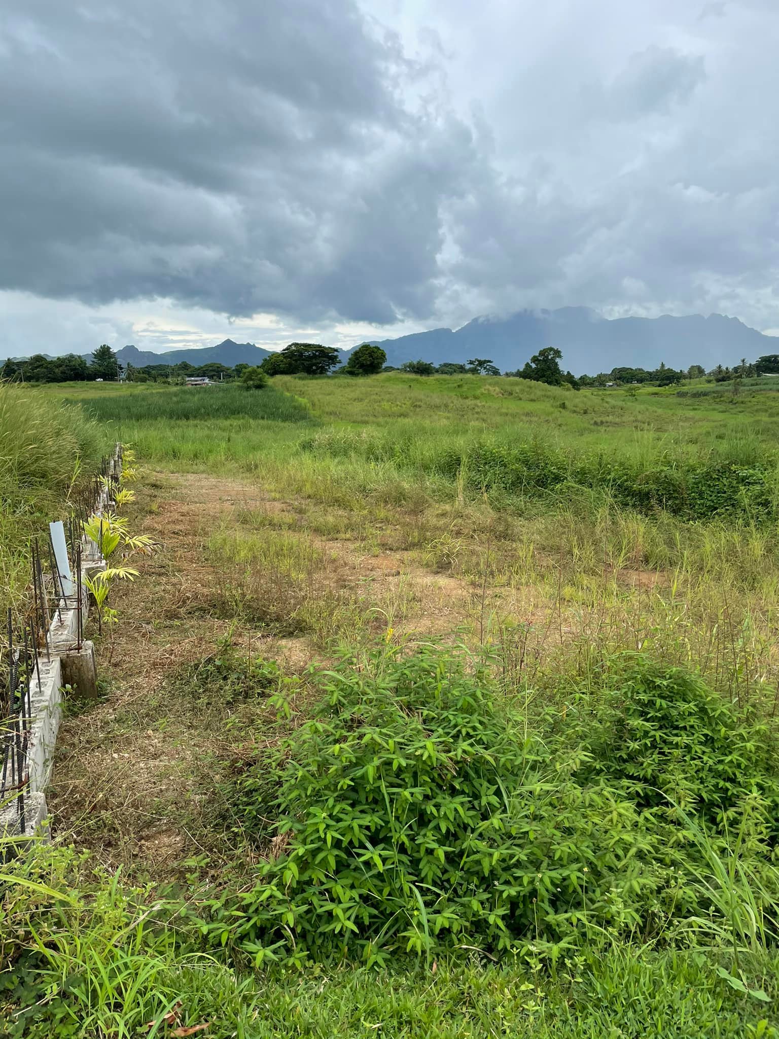 Nanak Estates - Nadi | Nadi