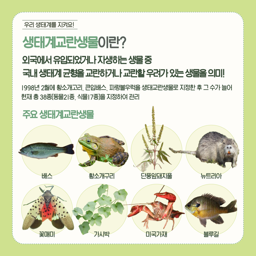 식물과 동물 생태계
