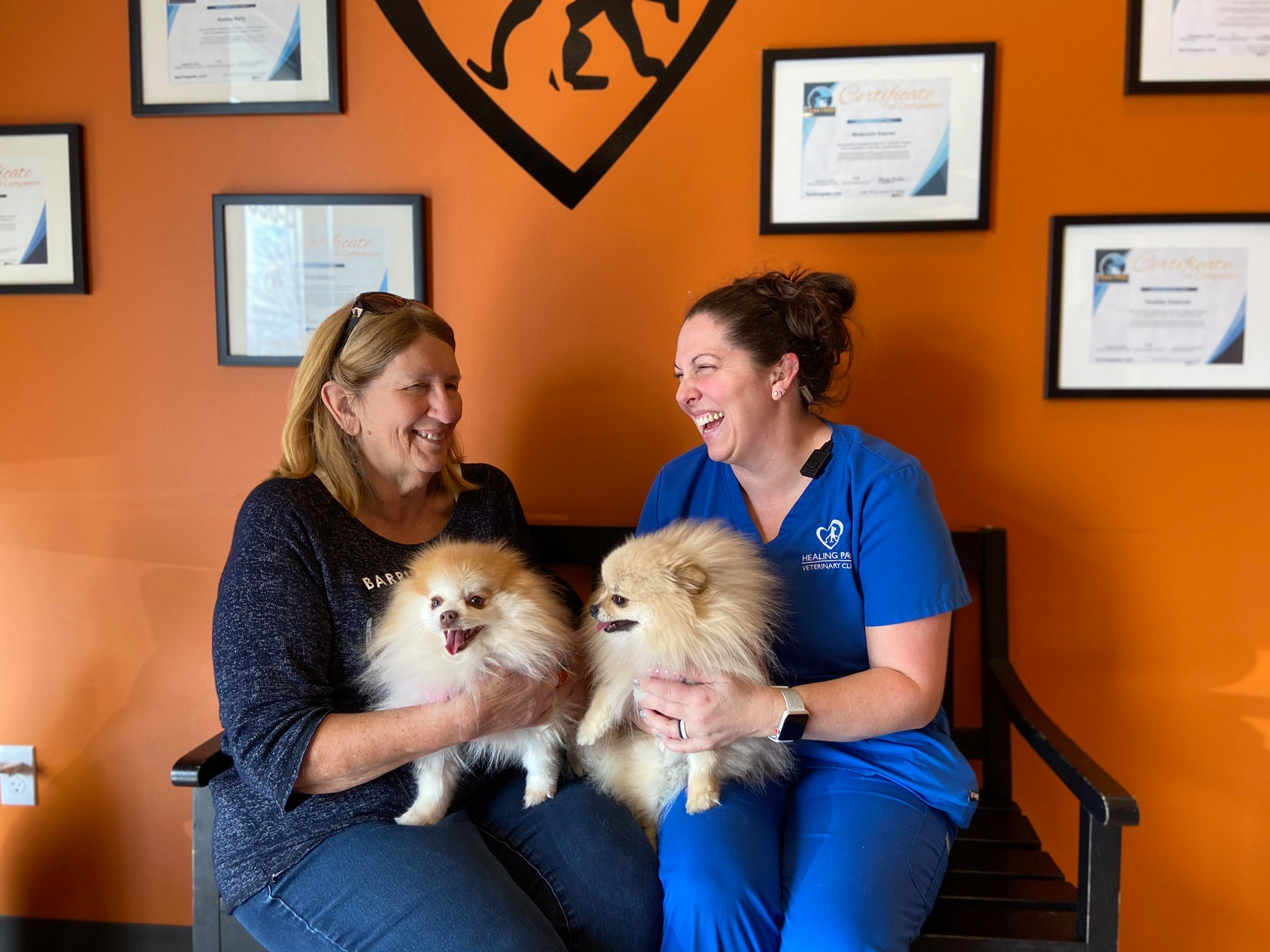 Healing Paws Veterinary Clinic Home Facebook