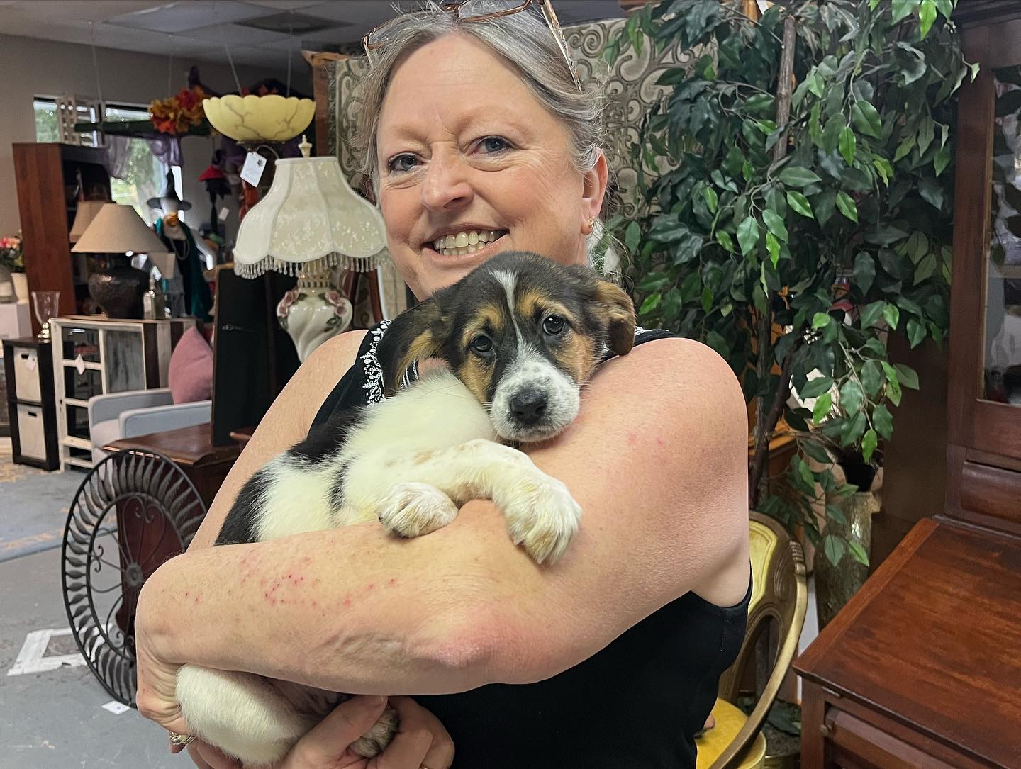Congratulations to all of the Fairy... - FLUFF Animal Rescue