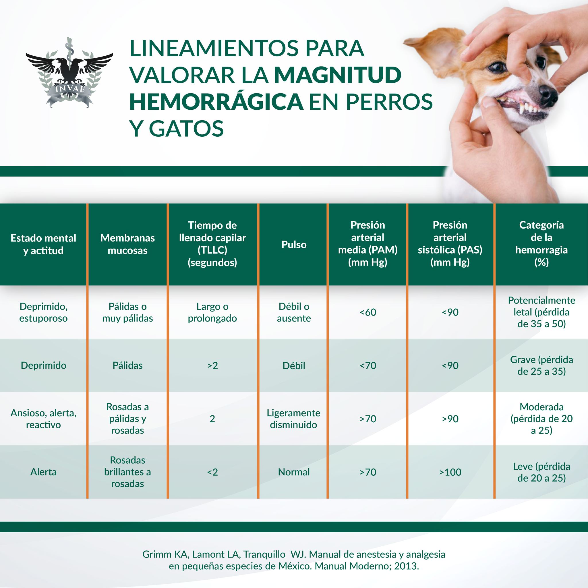 INVAE - La hemorragia es la pérdida aguda de sangre de un vaso ...